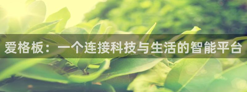 沐鸣2手机网页登录入口：爱格板：一个连接科技与生活的智能平台