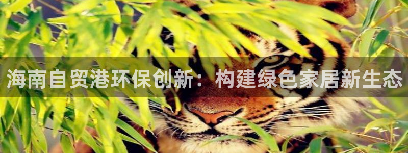 沐鸣2官网主管：海南自贸港环保创新：构建绿色家居新生态