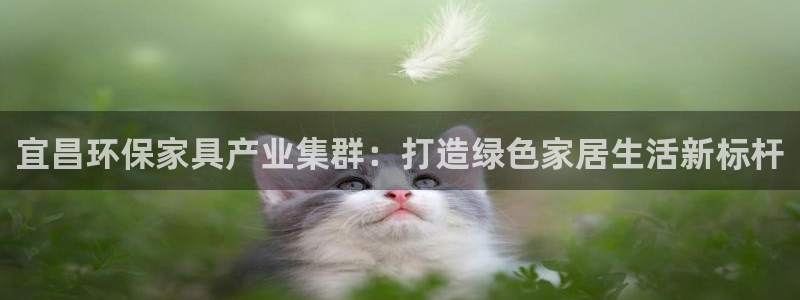 沐鸣2官网网站中心：宜昌环保家具产业集群：打造绿色家居生活新