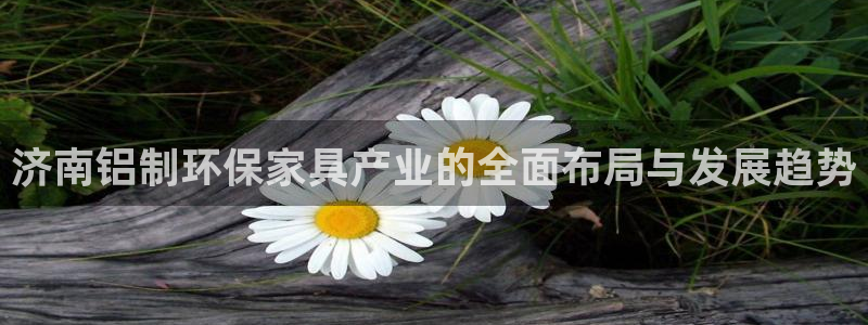 沐鸣2总代：济南铝制环保家具产业的全面布局与发展趋势