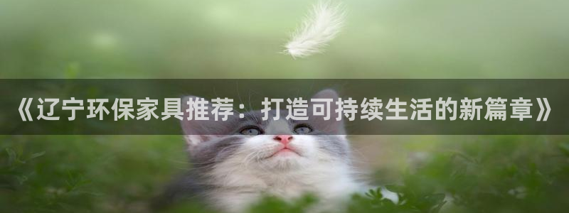 沐鸣2平台指定：《辽宁环保家具推荐：打造可持续生活的新篇章》