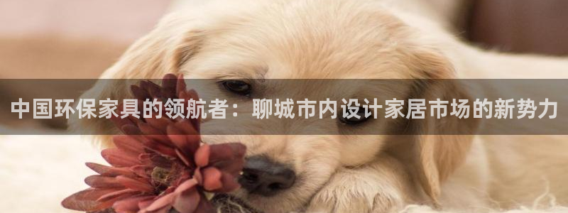 沐鸣2平台代理登录网址是多少：中国环保家具的领航者：聊城市内