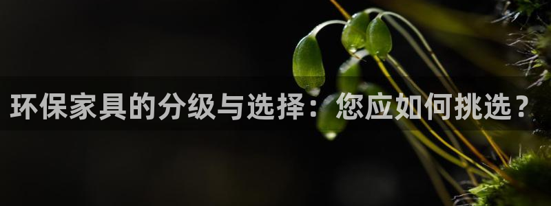 沐鸣2代理日工资多少：环保家具的分级与选择：您应如何挑选？