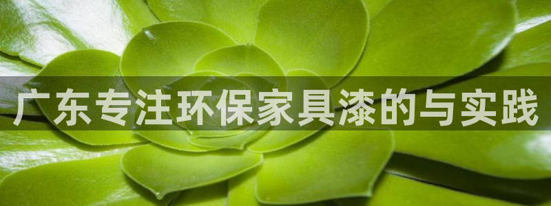 沐鸣2注册登入：广东专注环保家具漆的与实践