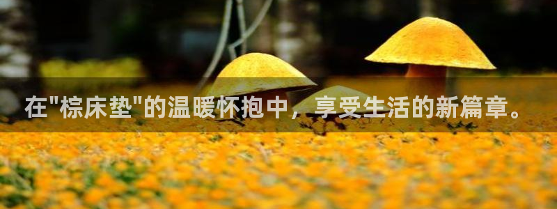 沐鸣2平台靠谱吗：在\