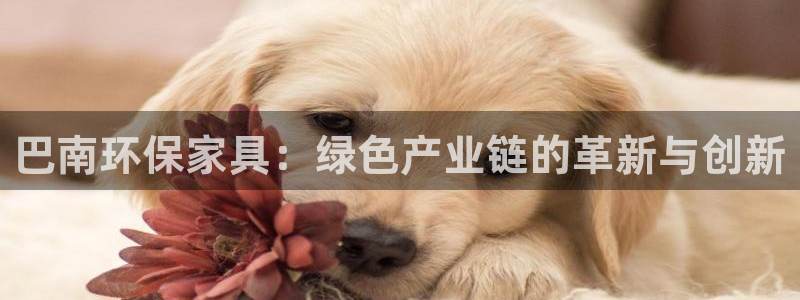 沐鸣2平台登录网址是什么：巴南环保家具：绿色产业链的革新与创