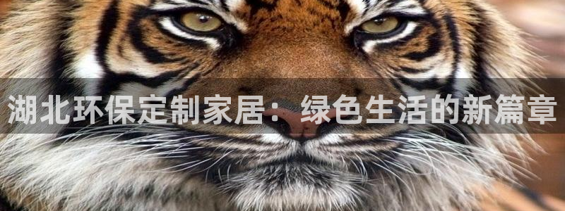 沐鸣2平台分红：湖北环保定制家居：绿色生活的新篇章