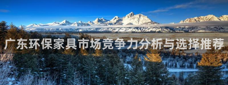 沐鸣2平台服务中心：广东环保家具市场竞争力分析与选择推荐