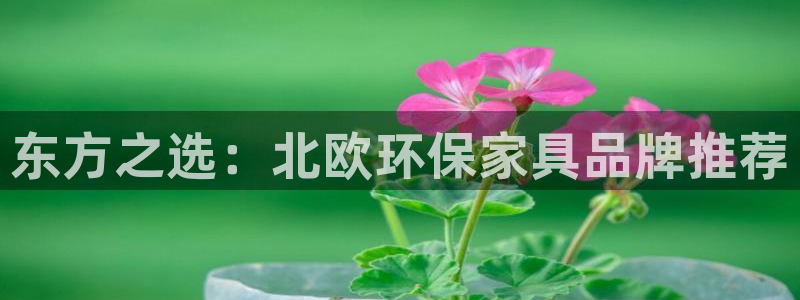 沐鸣2平台在哪里